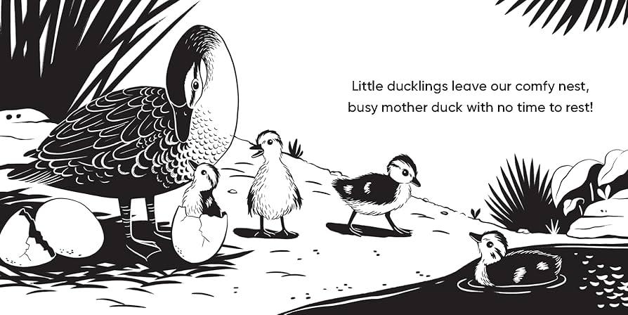 Aussie Babies That Hatch Book