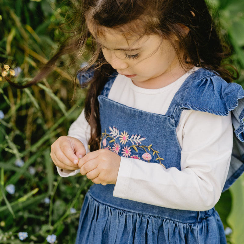 Wild Horses Denim Dress