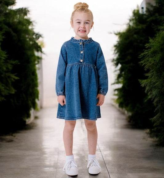 Mid Wash Denim Long Sleeve Dress