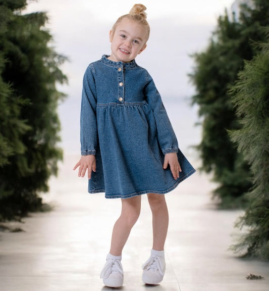 Mid Wash Denim Long Sleeve Dress