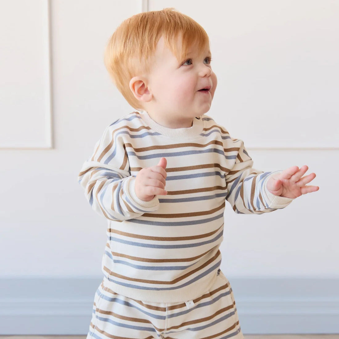 Organic Cotton Damien Sweatshirt - Hudson Stripe Tiger
