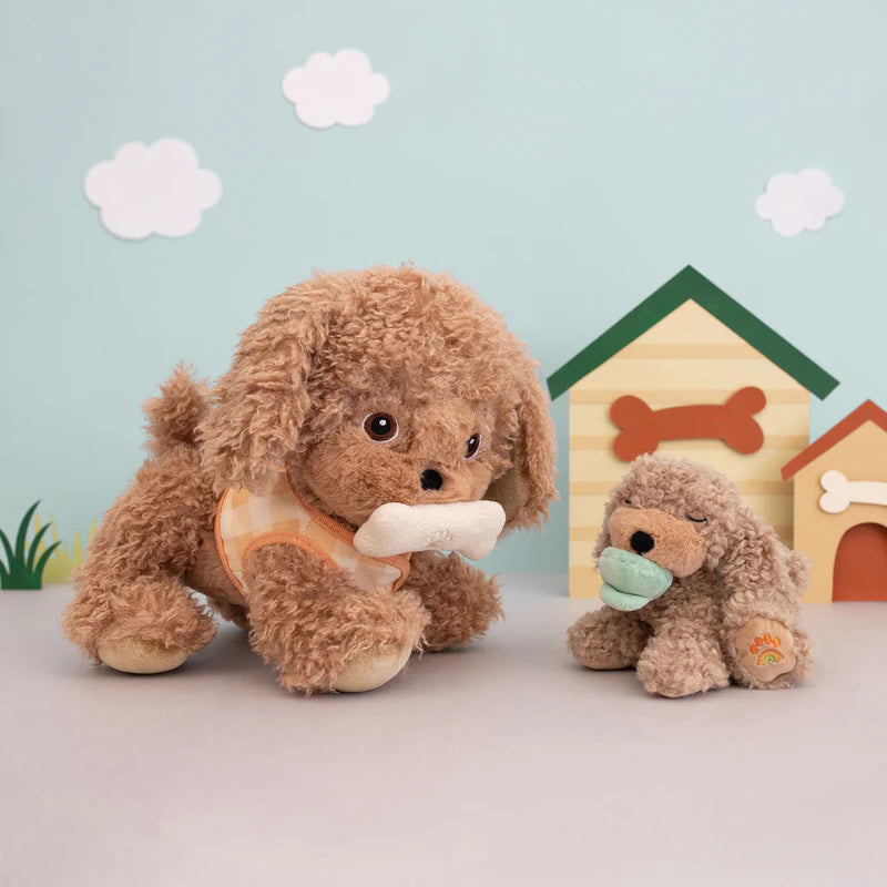 Binky Puppy- Benny Goldie