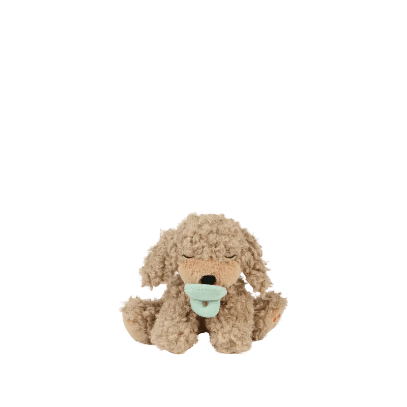Binky Puppy- Benny Goldie