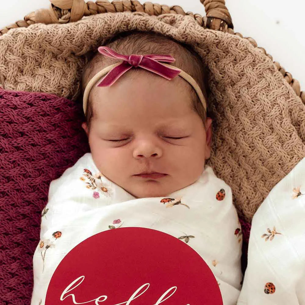 Baby Velvet Bow- Mauve