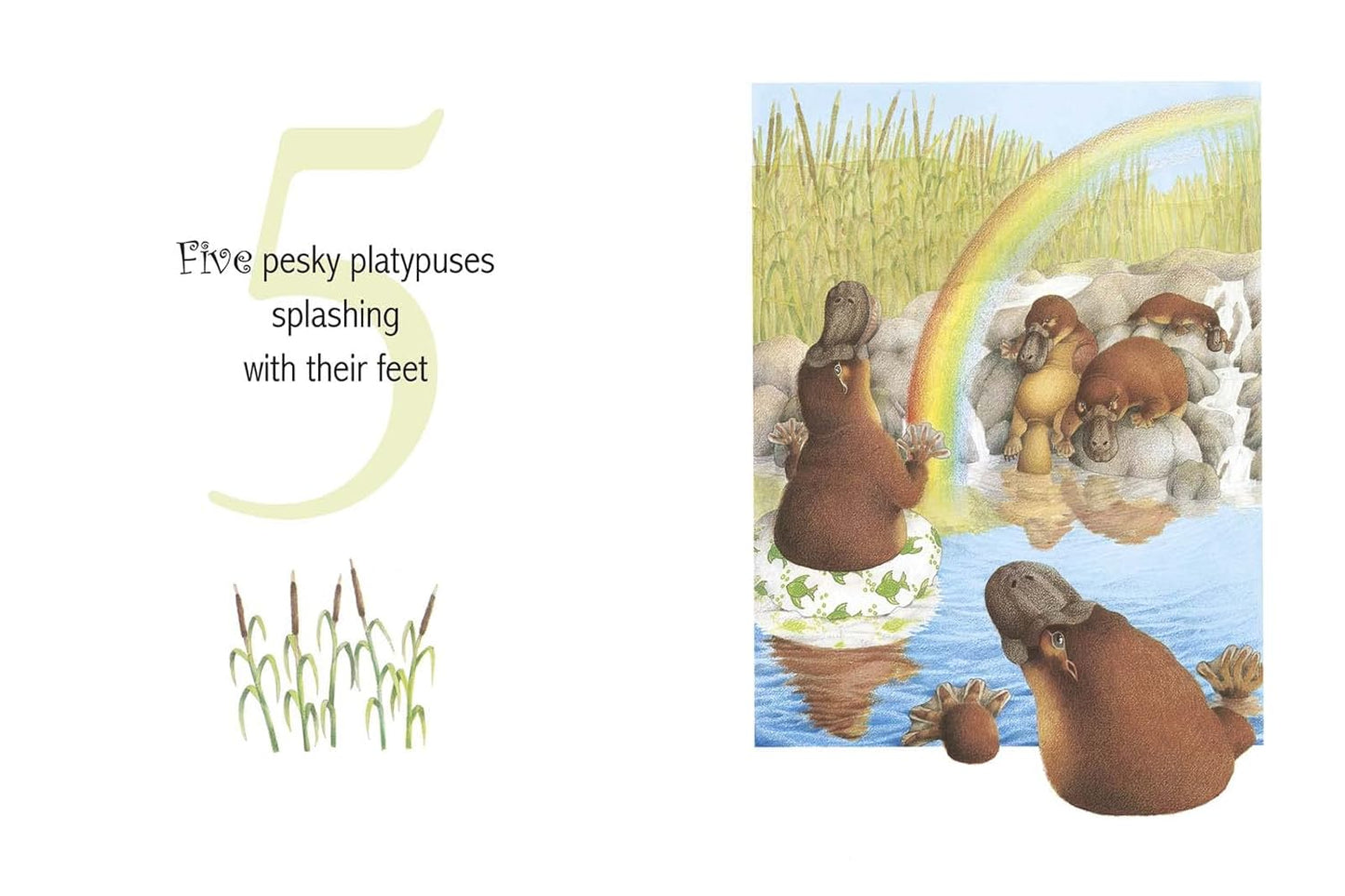 One Woolly Wombat 40th Anniversary Edition Book