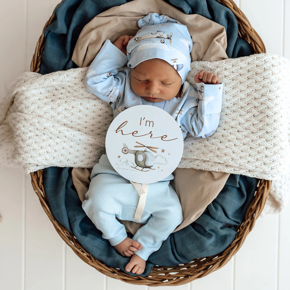 Milestone Cards Reversible- Taking Flight