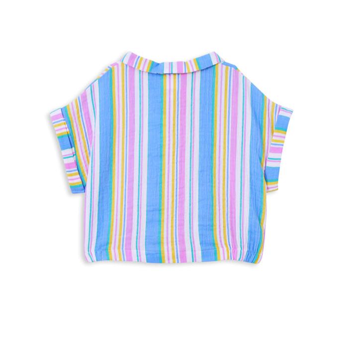 Crinkle Stripe Shirt