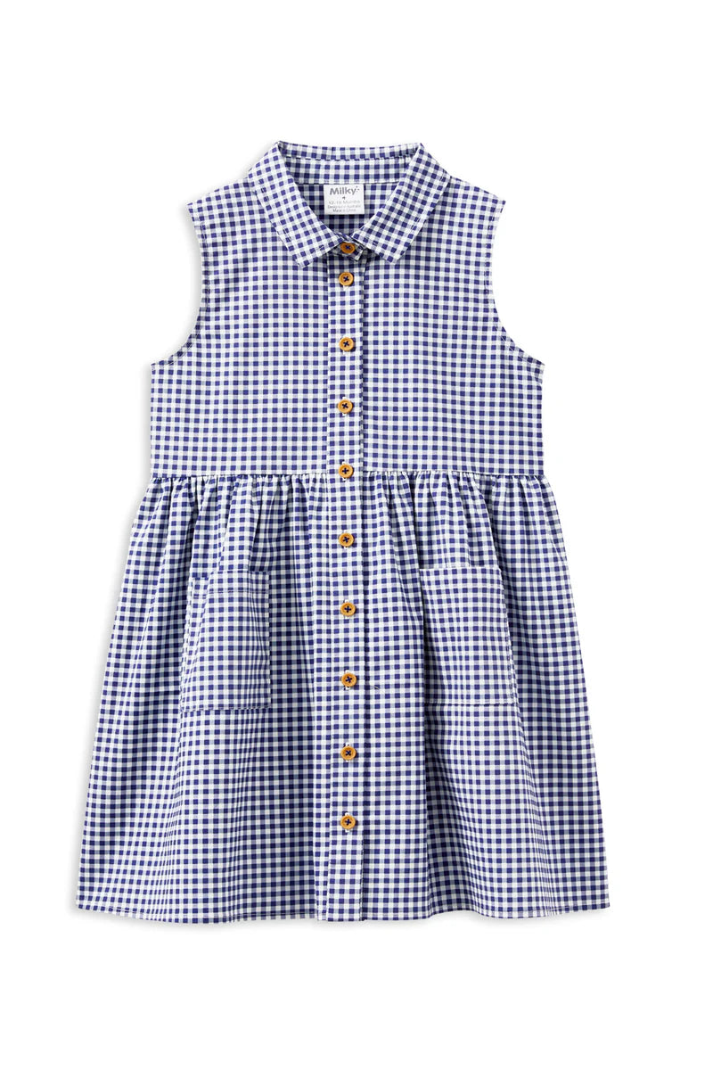 Gingham Dress - Blue