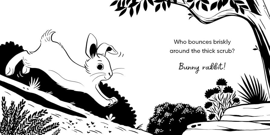 Bouncing Aussie Animals Book