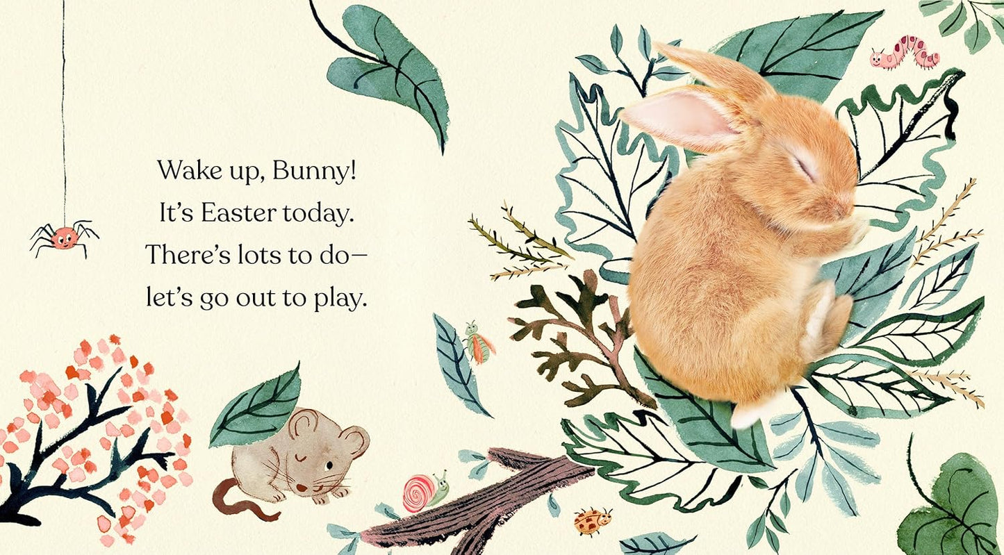 Happy Easter Little Bunny Book