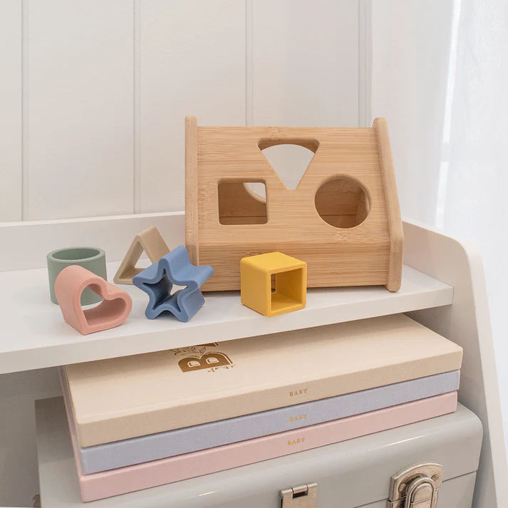 House Shape Sorter