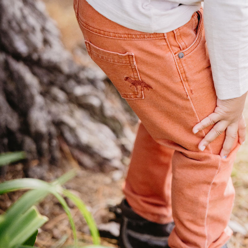 Cool Dogs Pull On Knit Denim Jeans