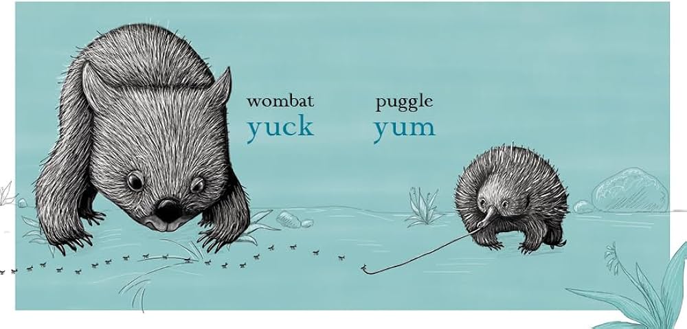 Wombat Big, Puggle Small Book