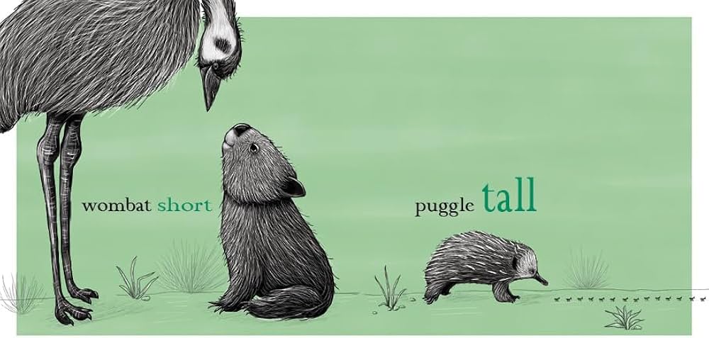 Wombat Big, Puggle Small Book