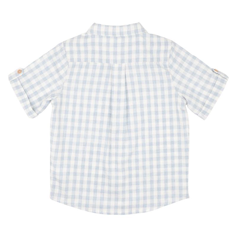 Harry Check Shirt