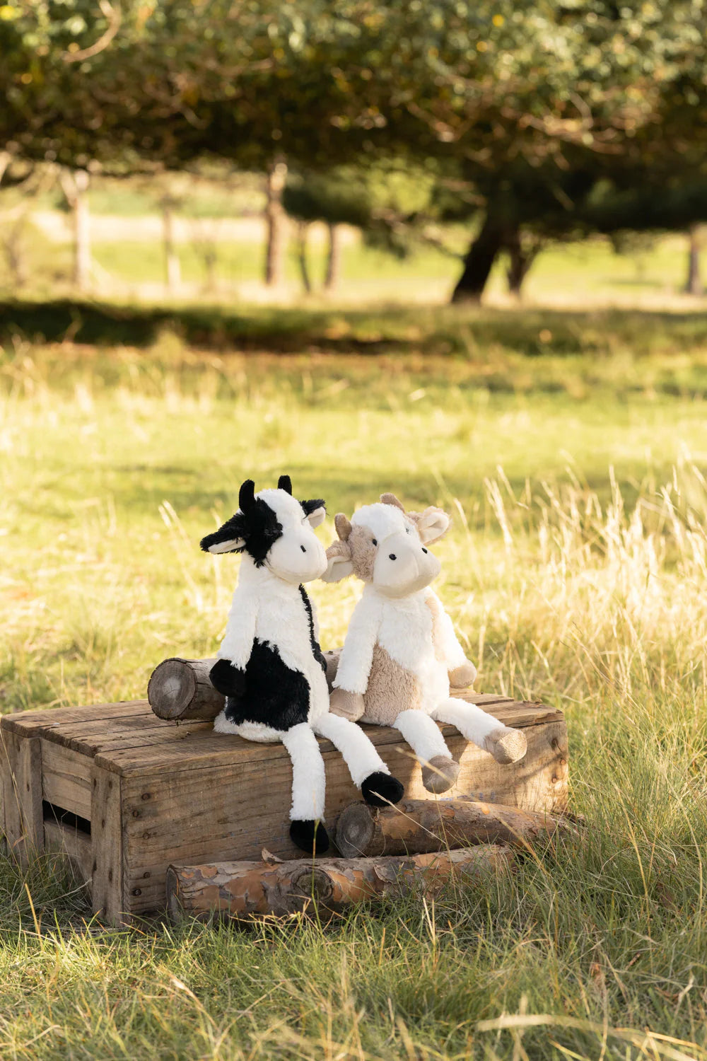 Clover The Cow- Black