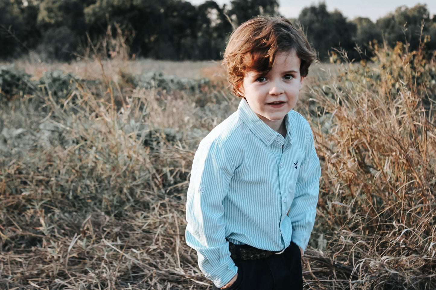 Long Sleeve Dress Shirt- Green Pinstripe