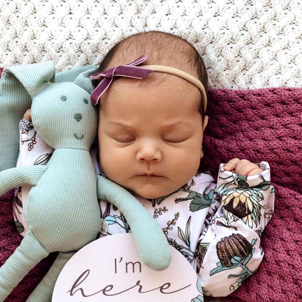 Baby Velvet Bow- Grape