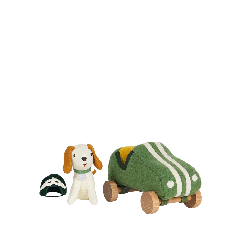 Holdie Dog-Go- Racer Boy Green