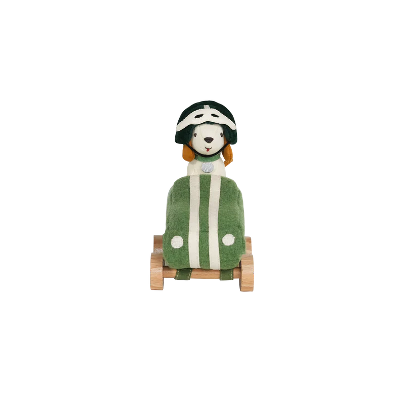 Holdie Dog-Go- Racer Boy Green