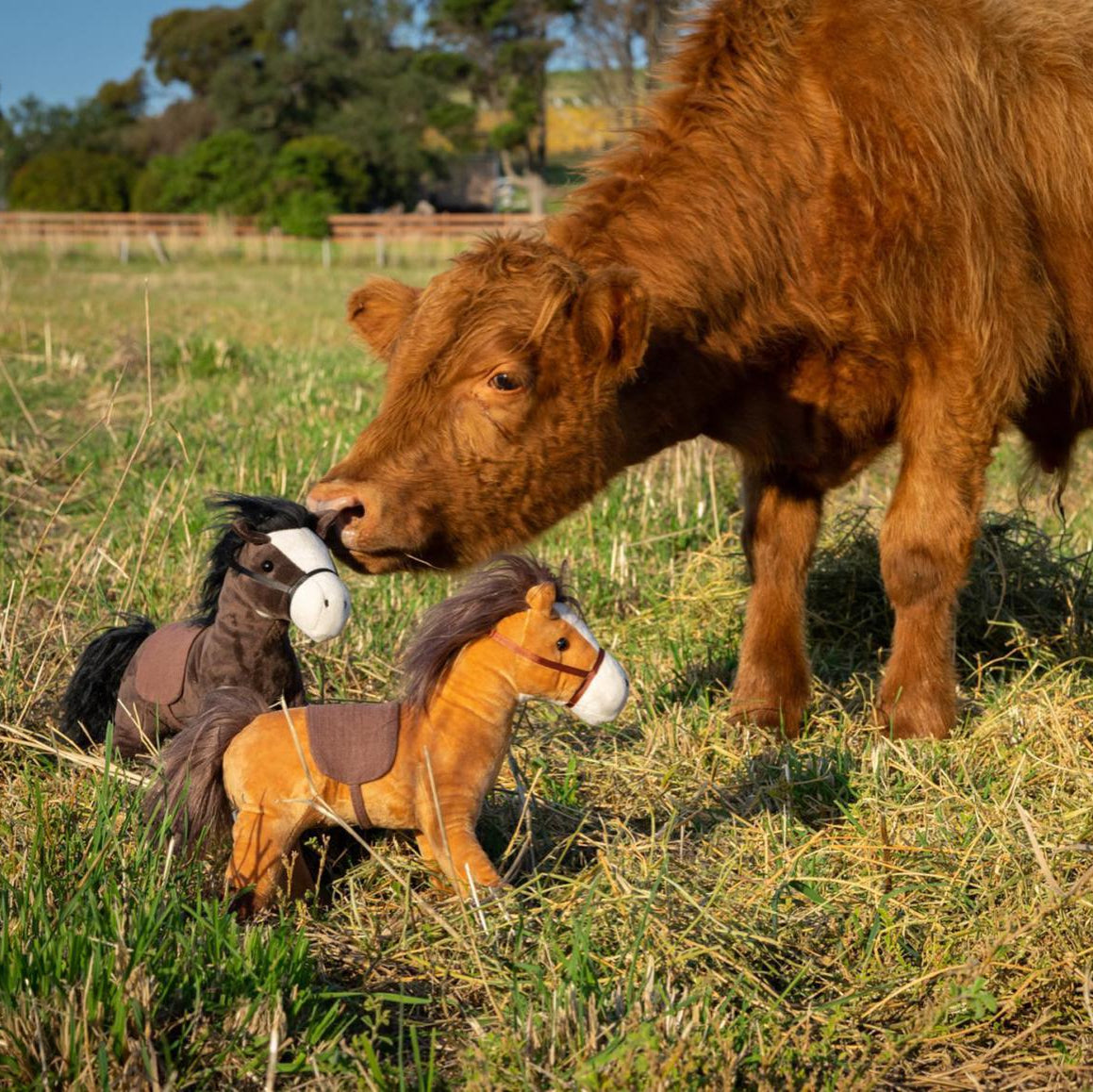 Stormy & Thunder The Horse