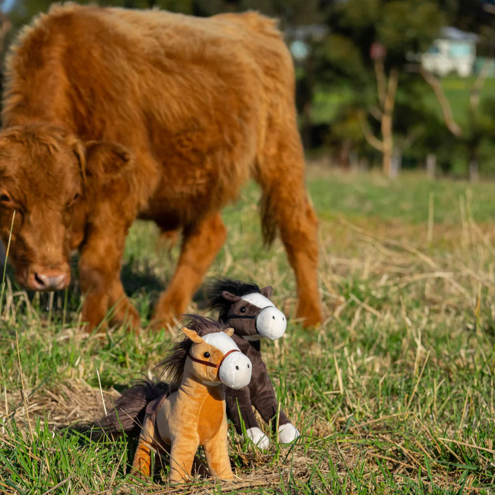 Stormy & Thunder The Horse