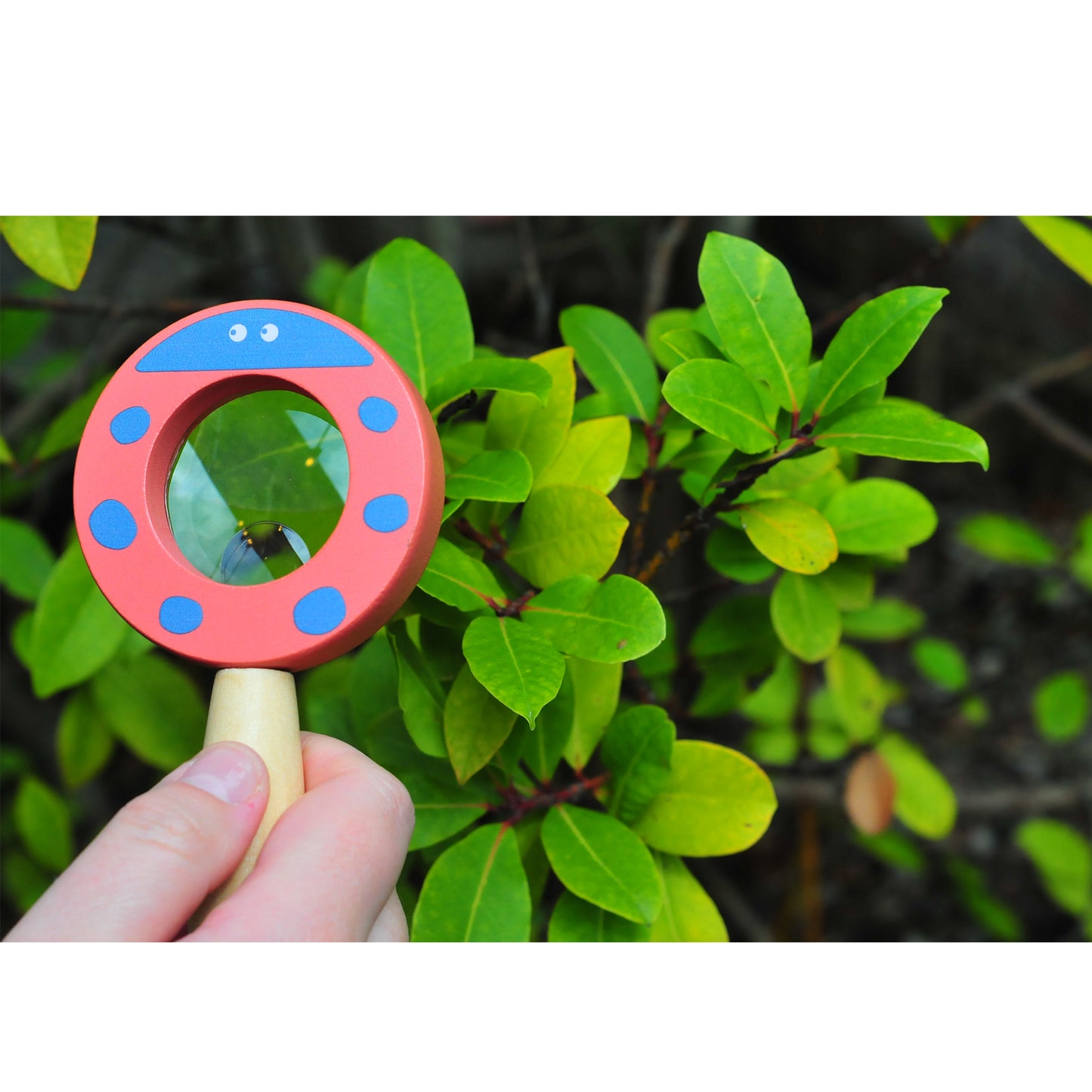 Wooden Magnifying Glass