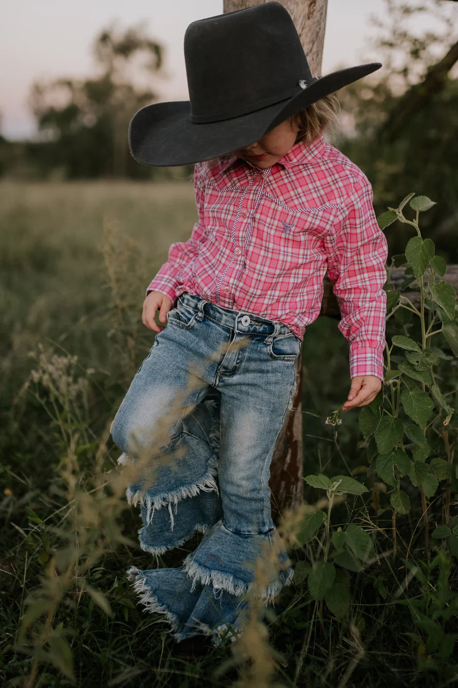 Lorelai Purple Piped Yoke Western Long Sleeve Shirt