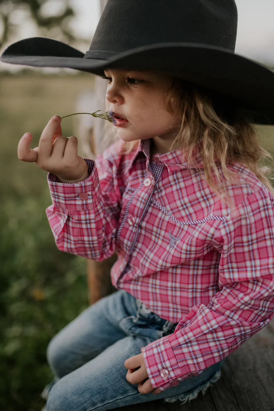 Lorelai Purple Piped Yoke Western Long Sleeve Shirt