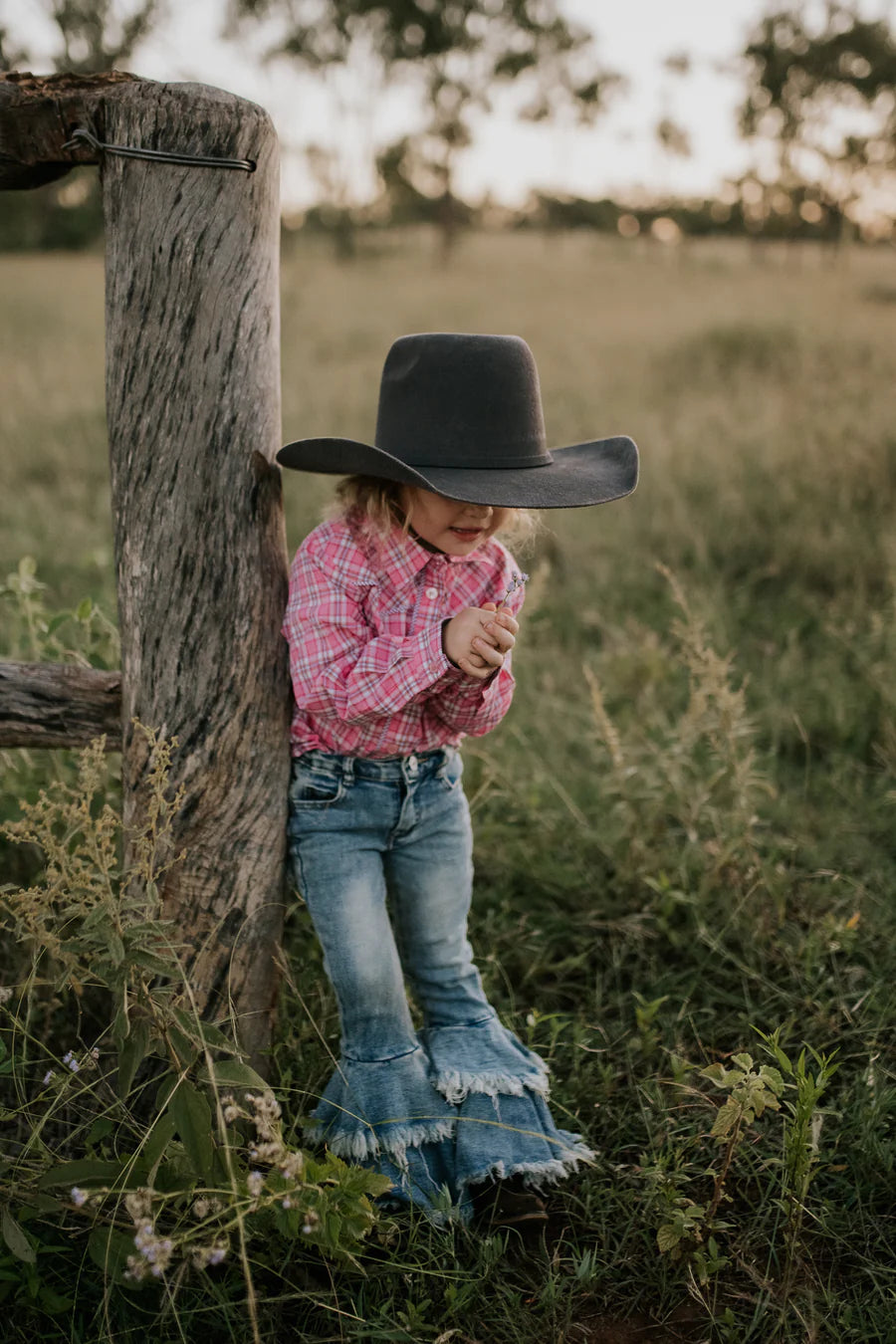 Lorelai Purple Piped Yoke Western Long Sleeve Shirt