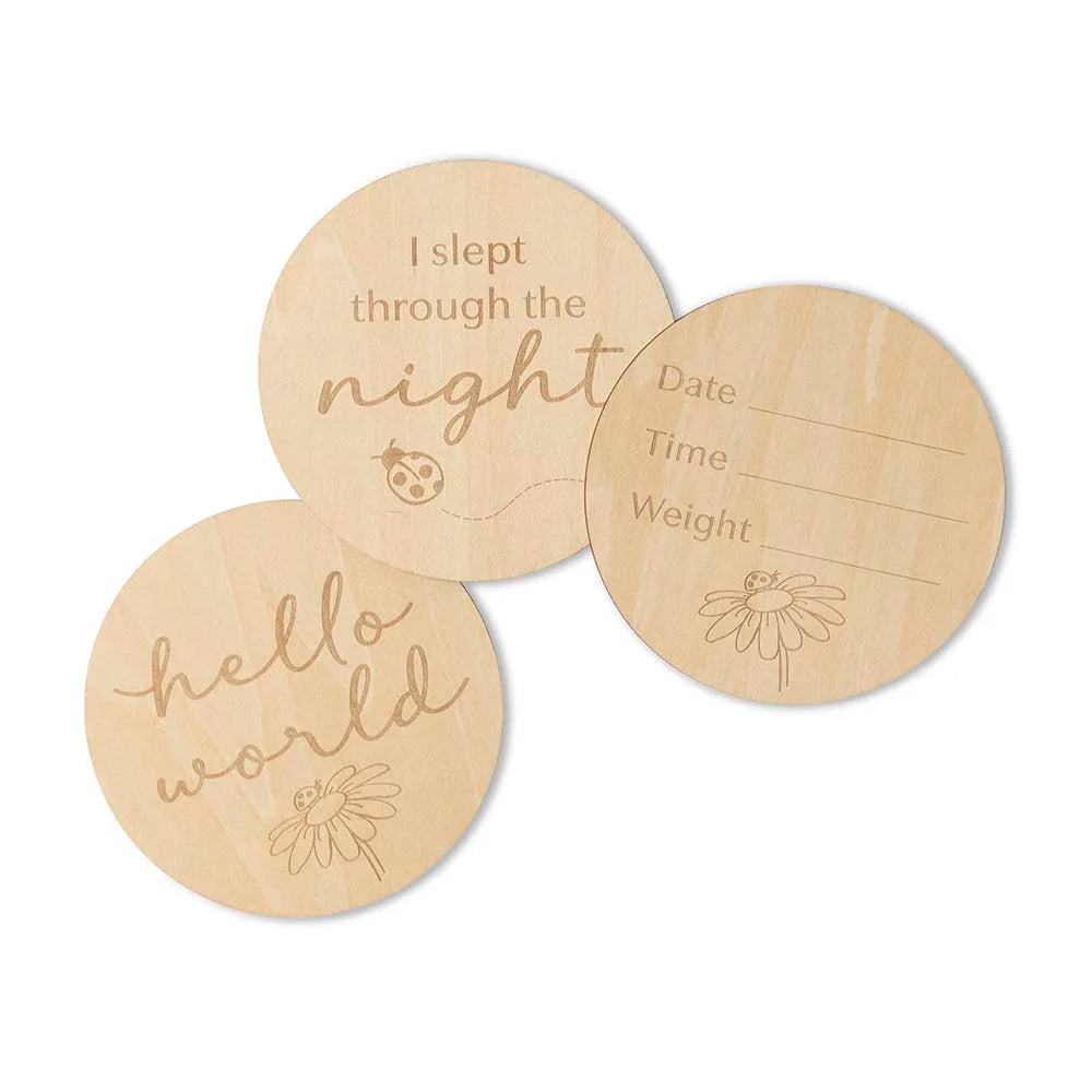 Ladybug Wooden Milestone Cards