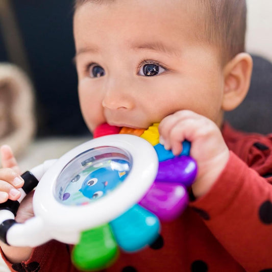 Baby Einstein Opus Sensory Rattle & Teether