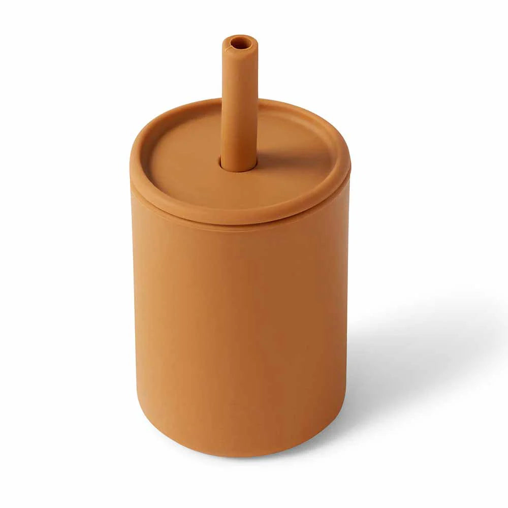 Silicone Sippy Cup