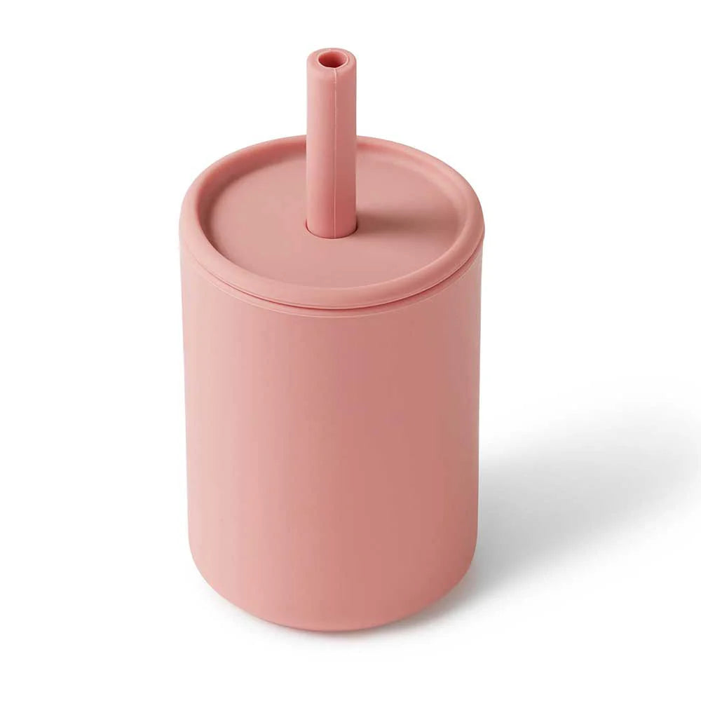 Silicone Sippy Cup