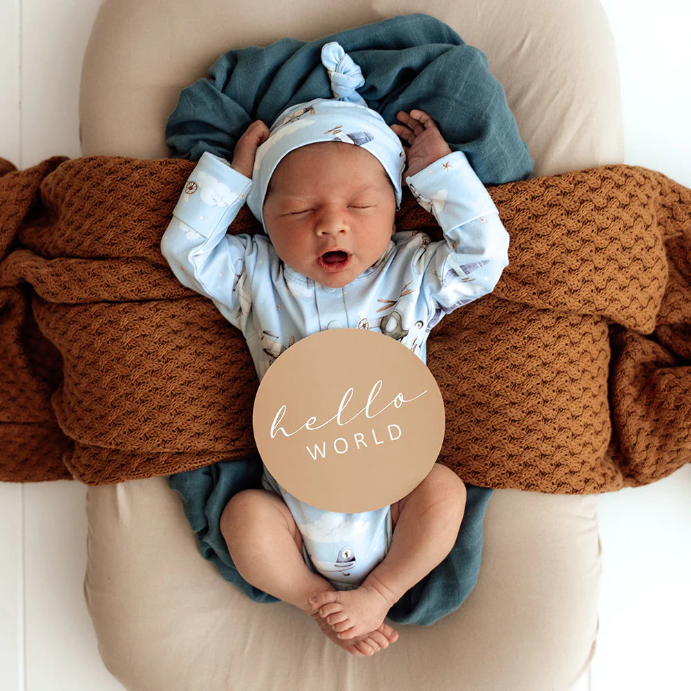 Milestone Cards Reversible- Taking Flight
