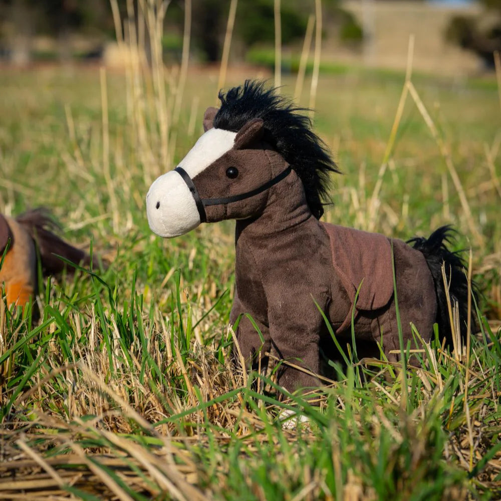 Stormy & Thunder The Horse